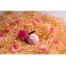Šumivé koule do vany Be2la® (50 g) - růže